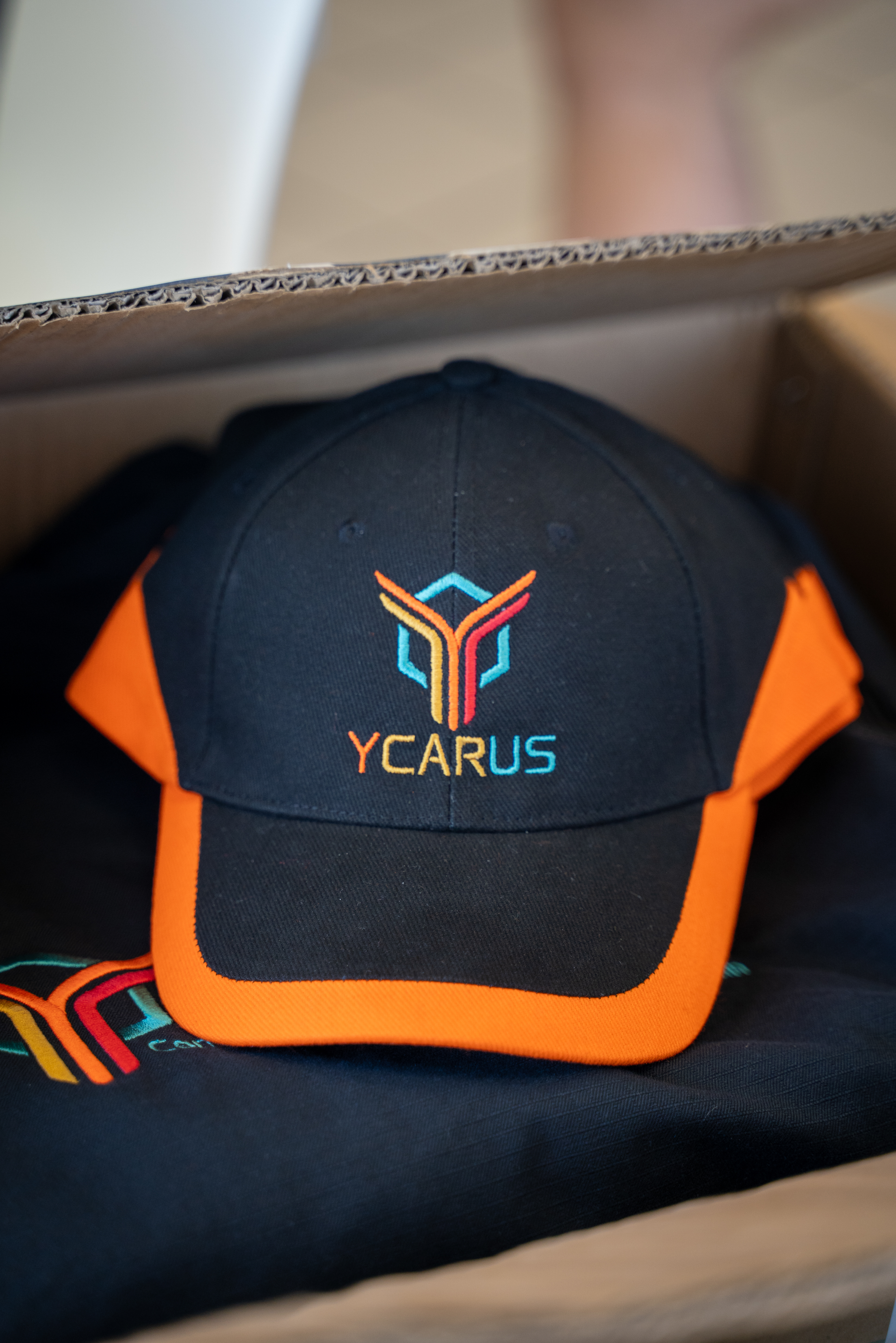 Ycarus